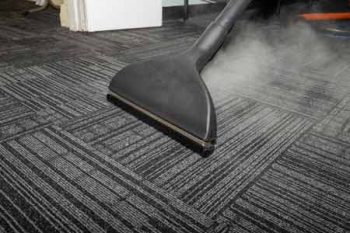 Professional Carpet Cleaning Mesa AZ