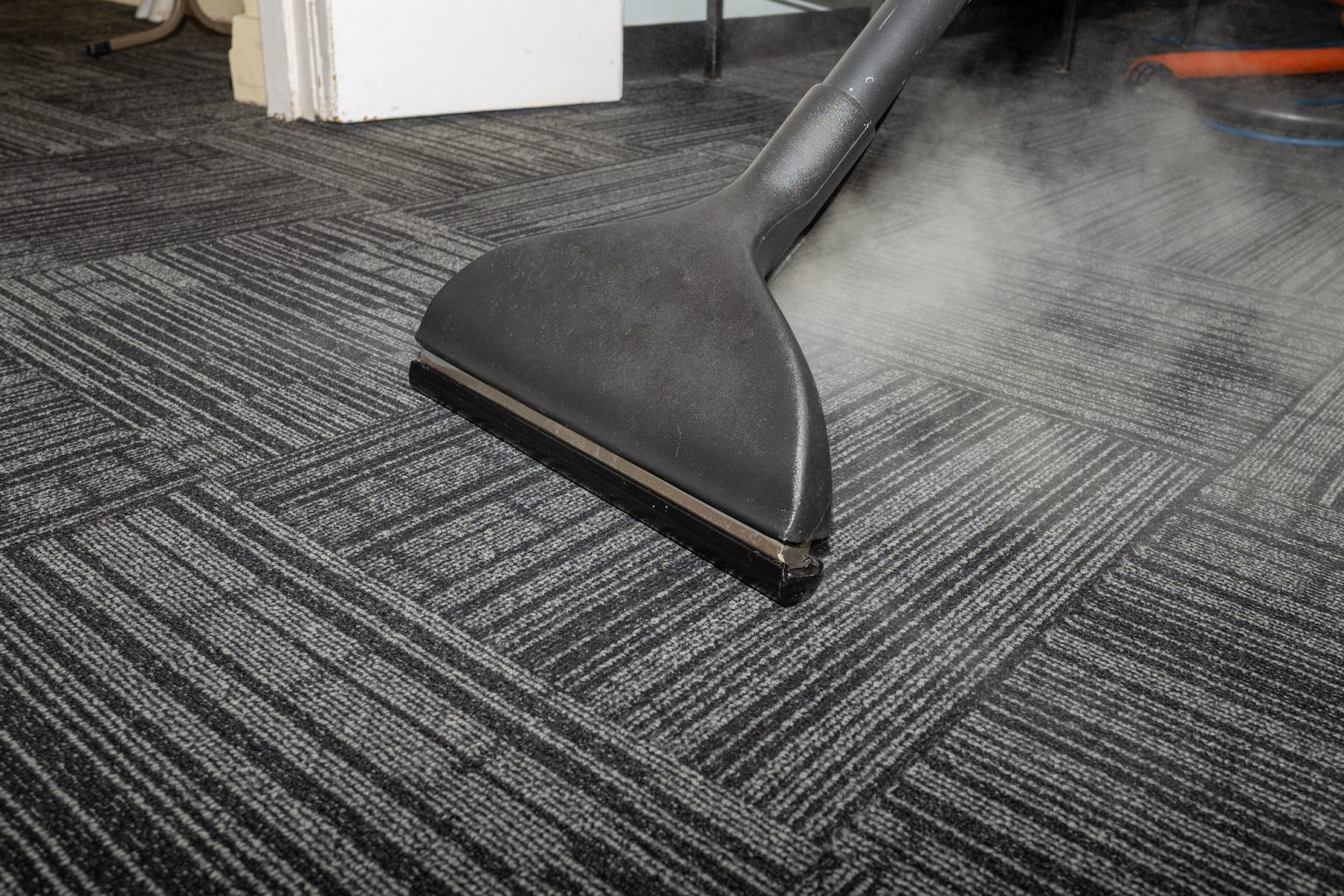 Clean carpets with steam фото 112