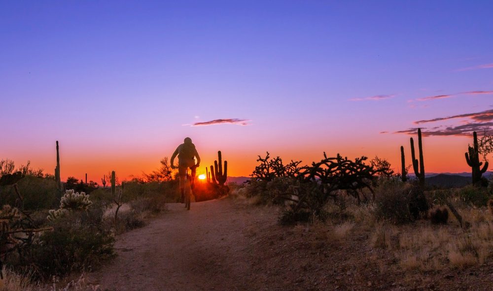 Desert Trail In Scottsdale, Az 