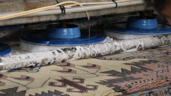 Commercial Carpet Cleaning Phoenix AZ
